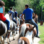 Balade à cheval dans l'Avesnois