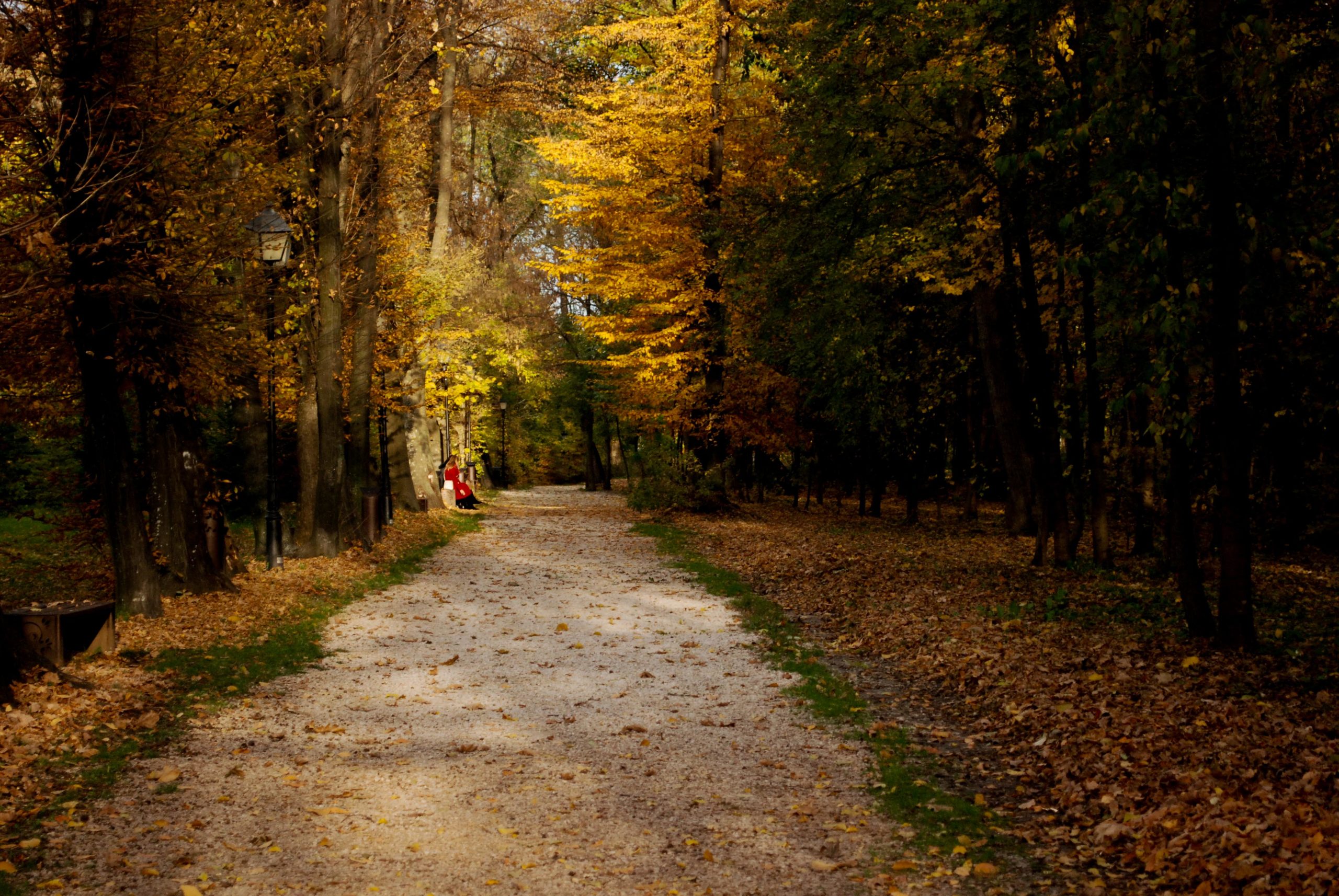 L'automne en Avesnois