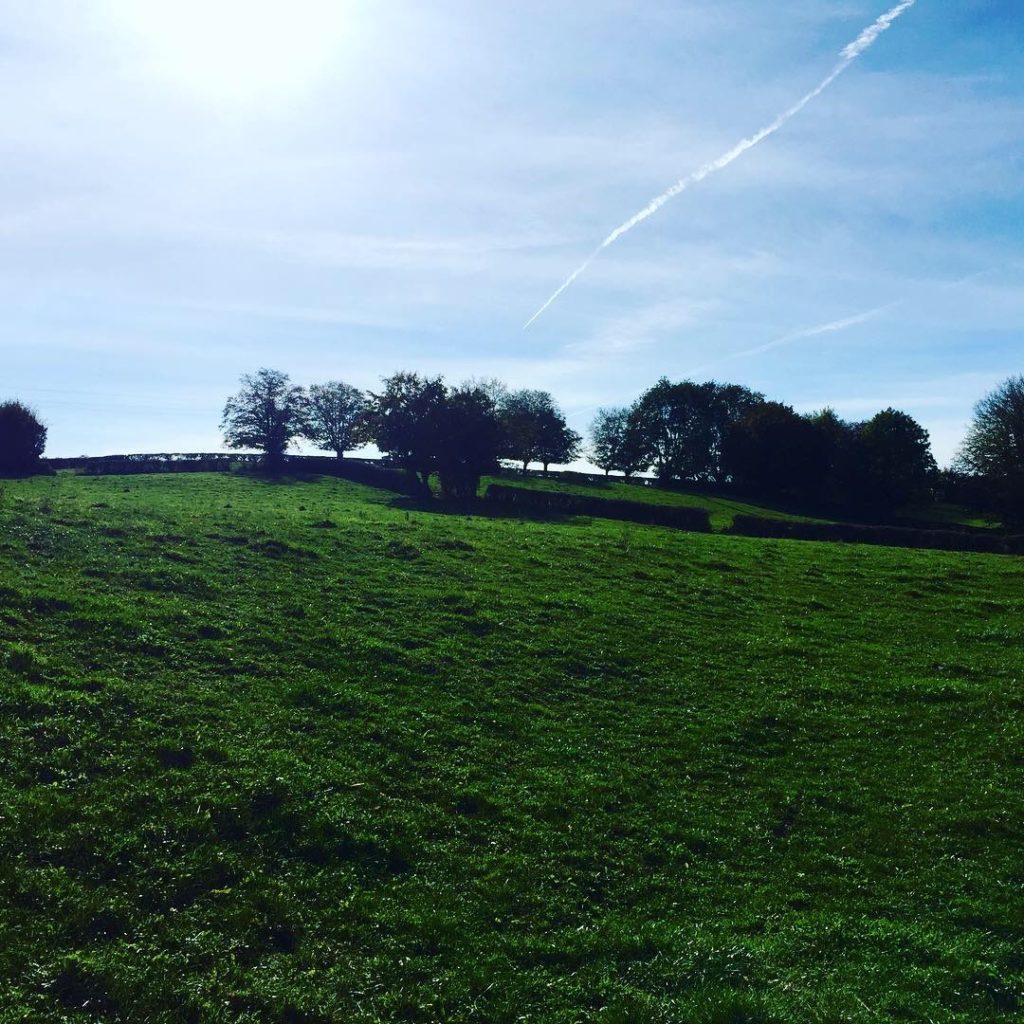 Le bocage à Sains du Nord