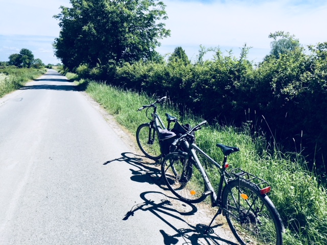 You are currently viewing 16 randonnées à pied ou à vélo au départ de la maison !