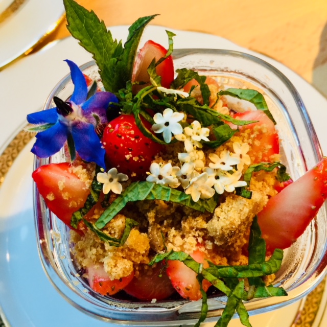 Panna cotta verveine, crème de mûres, fraises